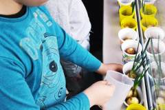 334529988_748048253396889_5086966945898157345_n